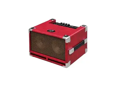 Phil Jones Bass BG-100 Bass Cub 2x5 100w Combo Amp