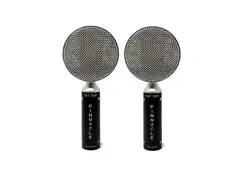Pinnacle Microphones D-FT-ST-S Fat Top Ribbon Microphone Stereo Pair main image