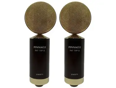 Pinnacle Microphones D-FTII-ST-G Fat Top II Ribbon Microphone Stereo Pair