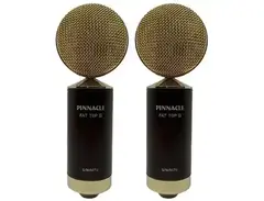 Pinnacle Microphones D-FTII-ST-G Fat Top II Ribbon Microphone Stereo Pair