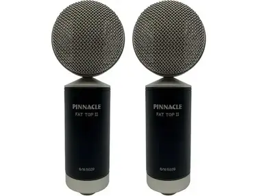 Pinnacle Microphones D-FTII-ST-S Fat Top II Ribbon Microphone Stereo Pair