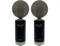 Pinnacle Microphones D-FTII-ST-S Fat Top II Ribbon Microphone Stereo Pair main image