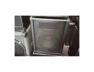 Powerwerks PW12 Passive 12" PA Speaker
