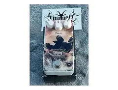 Pro Tone Pedals Haunted Delay main image