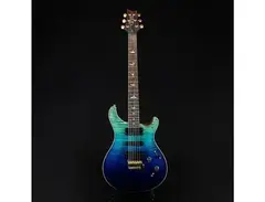 PRS 509 Artist Package main image