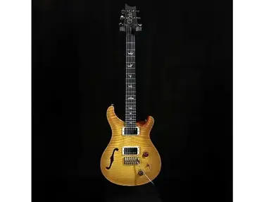PRS Custom 22 Semi-Hollow Wood Library