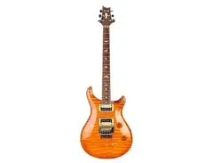 PRS Custom 24 Floyd Private Stock main image