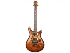 PRS Custom 24 Floyd Wood Library main image