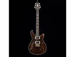 PRS Custom 24 Semi-Hollow Private Stock main image