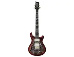 PRS Custom 24 Semi-Hollow Wood Library main image