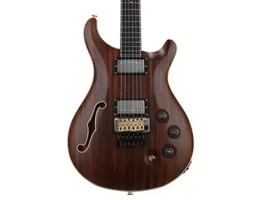 PRS DGT David Grissom Tremolo Signature Semi-Hollow Private Stock