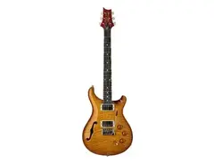 PRS DGT Semi-Hollow David Grissom Tremolo Signature main image