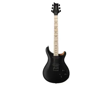 PRS Dustie Waring Signature CE 24 Hardtail
