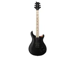 PRS Dustie Waring Signature CE 24 Hardtail main image