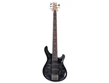 PRS Gary Grainger Signature 5-String 10-Top