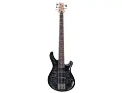 PRS Gary Grainger Signature 5-String 10-Top main image