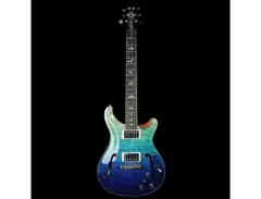 PRS Hollowbody II Artist Package main image