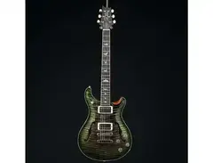 PRS McCarty 594 Hollowbody II Wood Library main image