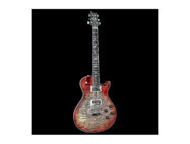PRS McCarty Singlecut 594 Artist Package