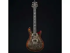 PRS P22 / Custom 22 Piezo Wood Library main image