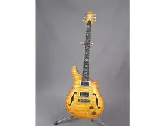 PRS Dweezil Zappa Signature Private Stock main image