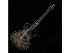 PRS Singlecut Private Stock main image