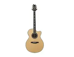 PRS SE Angelus Custom with Electronics main image