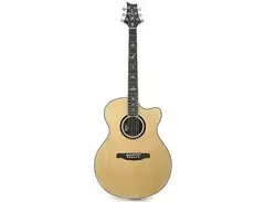 PRS SE Angelus Standard main image