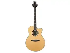 PRS SE Angelus Standard with Electronics main image