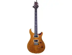 PRS 25th Anniversary SE Custom 24 main image