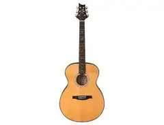 PRS SE T55E Tonare main image