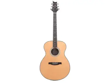 PRS SE T60E Tonare