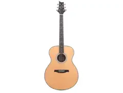 PRS SE T60E Tonare main image