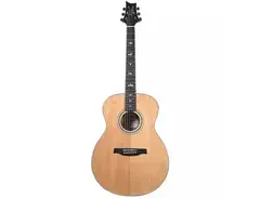PRS SE TX20E Tonare main image