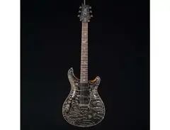 PRS Special 22 Semi-Hollow Wood Library main image