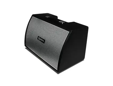 Quilter Labs Bassliner 2x10W Bass Cabinet with Horn
