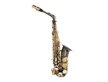 Ravel PR12C Student Eb Alto Sax