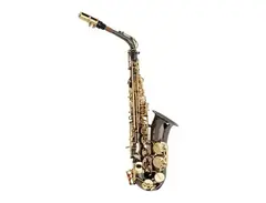 Ravel PR12C Student Eb Alto Sax main image