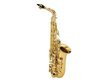Ravel RAS202 Student Eb Alto Sax