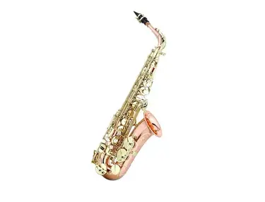 Ravel RAS302RB Paris Series Pro Alto Sax