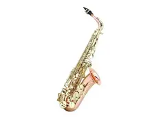 Ravel RAS302RB Paris Series Pro Alto Sax main image