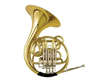 Ravel RDH202 Student Double French Horn