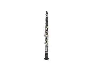 Ravel RGC202 Student Bb Clarinet