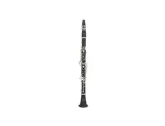 Ravel RGC202 Student Bb Clarinet main image