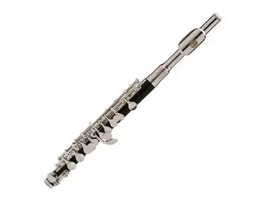 Ravel RPC202 Student Piccolo