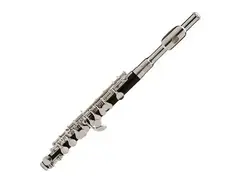 Ravel RPC202 Student Piccolo main image