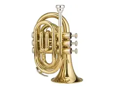 Ravel RPKT1 Student Pocket Trumpet main image
