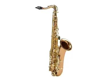 Ravel RTS302RB Paris Series Pro Tenor Sax