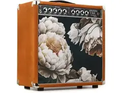 Amplified Nation Ampliphonix and Gain 50-watt 1 x 12-inch Combo Amplifier
