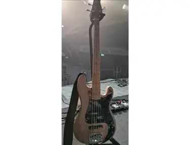 Ange Guitare Custom PJ 5-String
